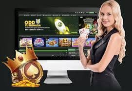 v869win